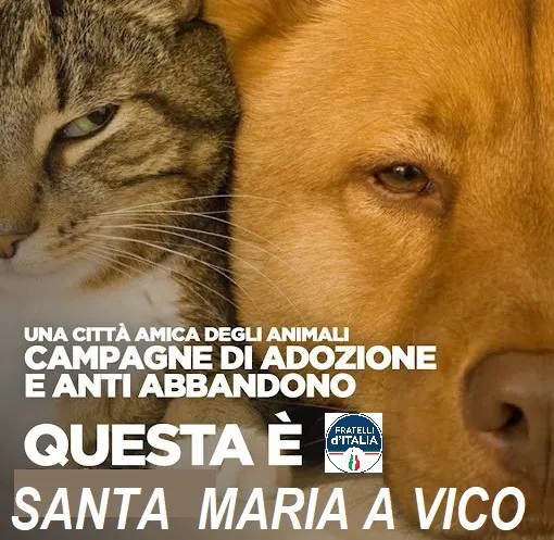 Parte la campagna contro l’abbandono degli animali