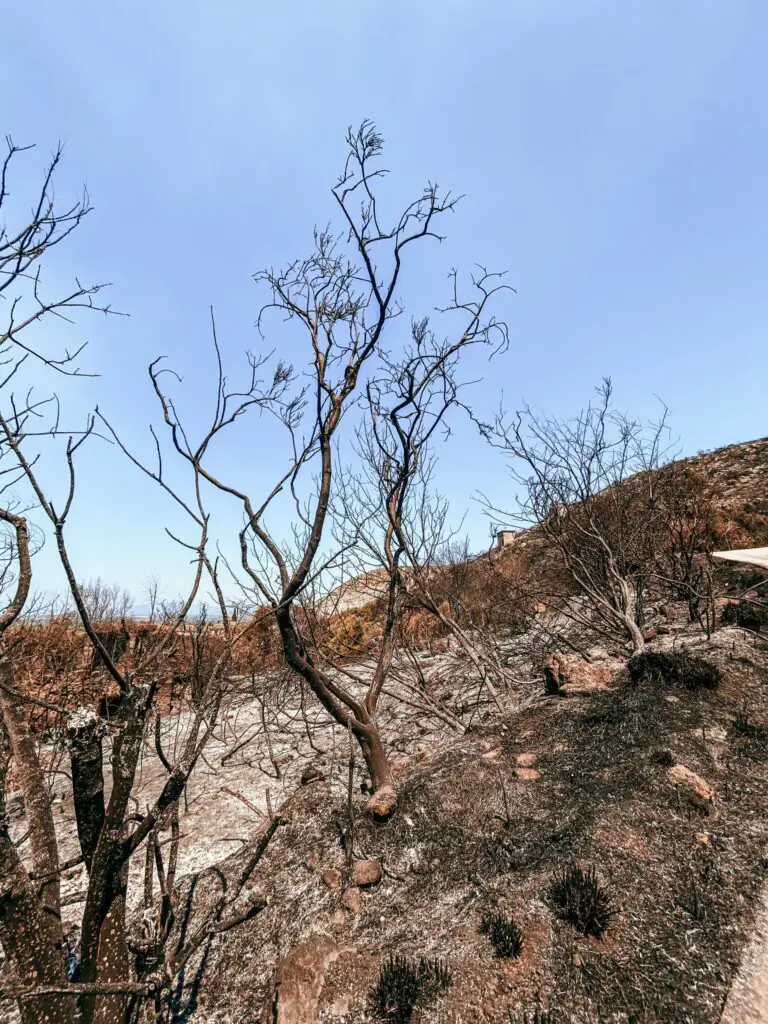 Casertano brucia, ecco quanto ci costeranno gli incendi di queste ore