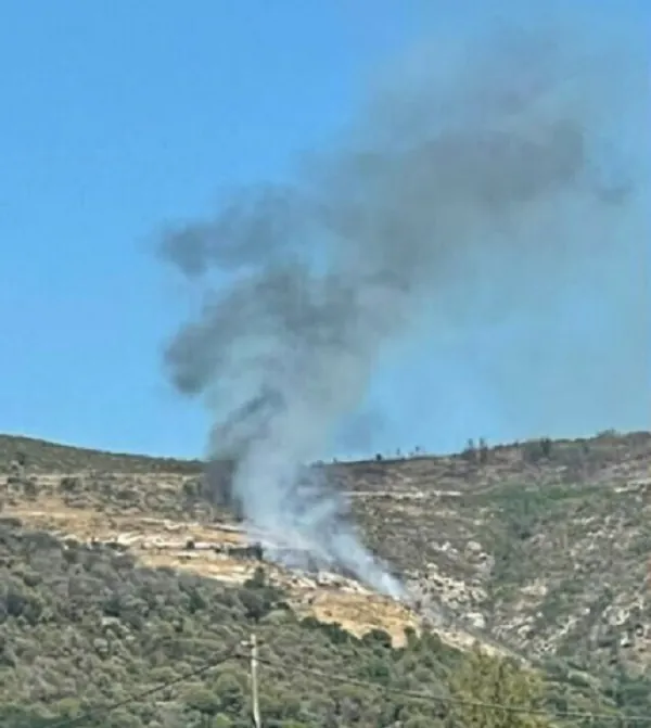 Incendio in collina sulla Panoramica: le fiamme si avvicinano alle case