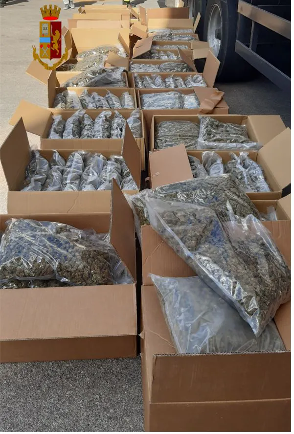 Blitz della mobile: sequestrato carico di droga di 217 chili