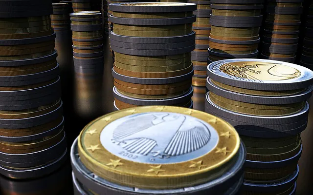 L’errore di conio che la rende speciale: la moneta da 1 Euro che ne vale 18mila