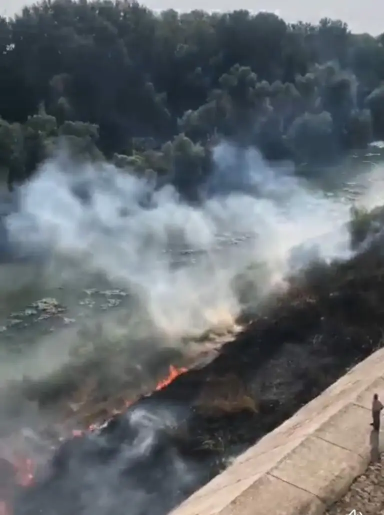 Bruciano sponde del fiume, città assediata dai piromani. FOTO E VIDEO