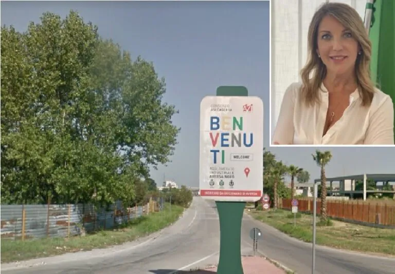 Dossier sui roghi in zona Asi, presidente: “Ora servono telecamere”