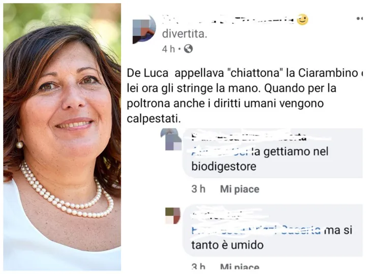 Insulti social alla Ciarambino, preoccupazione nel Movimento