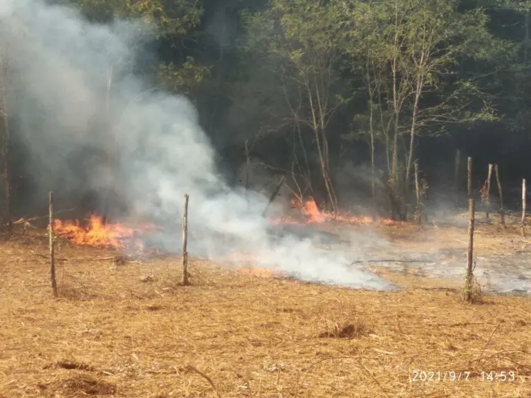 Appiccano incendio nel bosco, due beccati dai militari