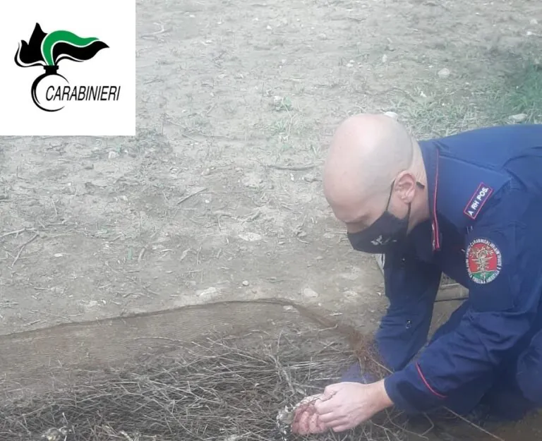 Militari in azione, 55 catturati: 2 denunciati
