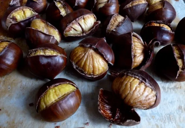 Lavorazione delle castagne: sospese due aziende nel casertano