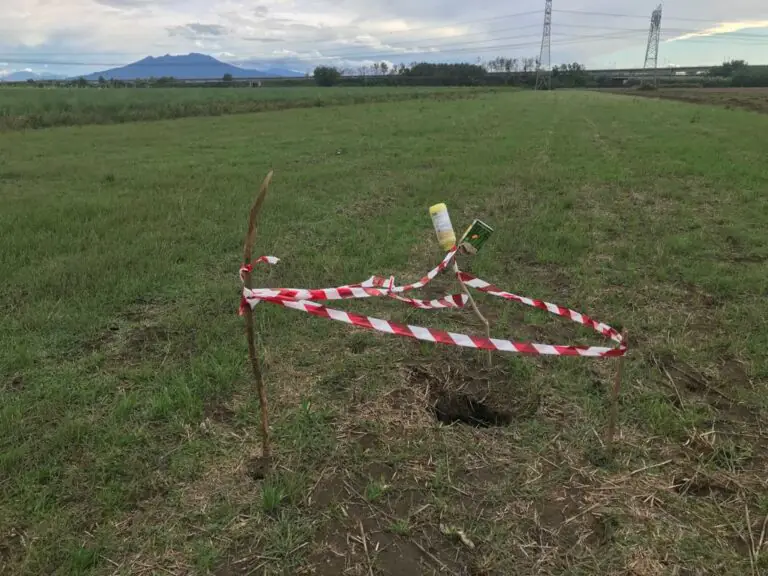 Allarme terreni, diktat del Comune: bonifica immediata o multe