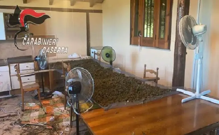 Sequestro record nell’agro: 15 chili di marijuana nella cucina del casolare