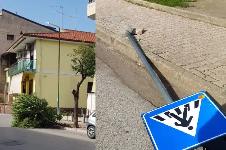 Vento sradica alberi, segnali e pali della luce: paura nei Comuni dell’Appia. FOTO