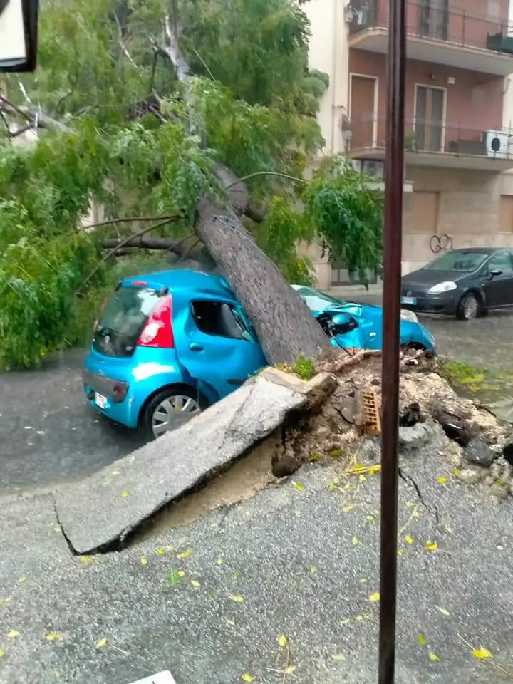 Albero si abbatte su auto nel capoluogo, Marcianise è un lago. LE FOTO