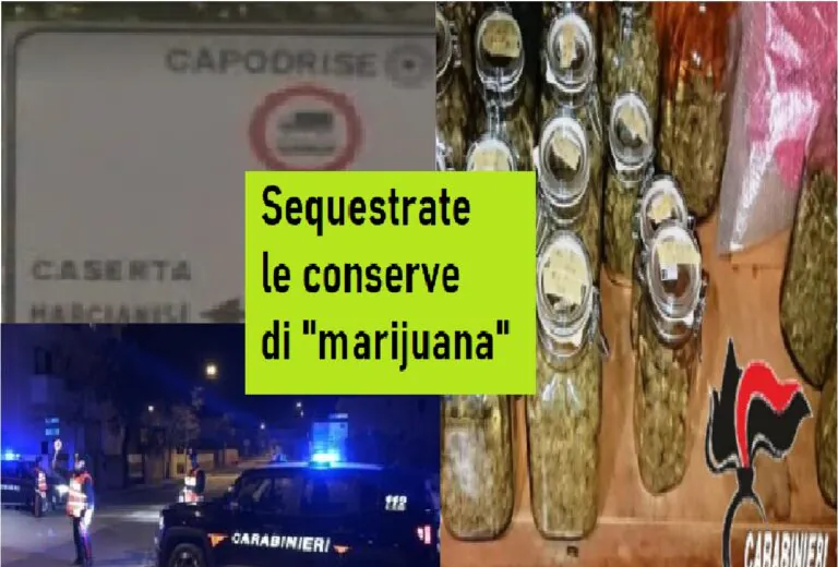 Carabinieri trovano le “conserve” di marijuana: fermato e rilasciato dal giudice