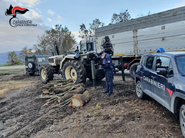 Tragedia nel Casertano, imprenditore muore schiacciato dal trattore
