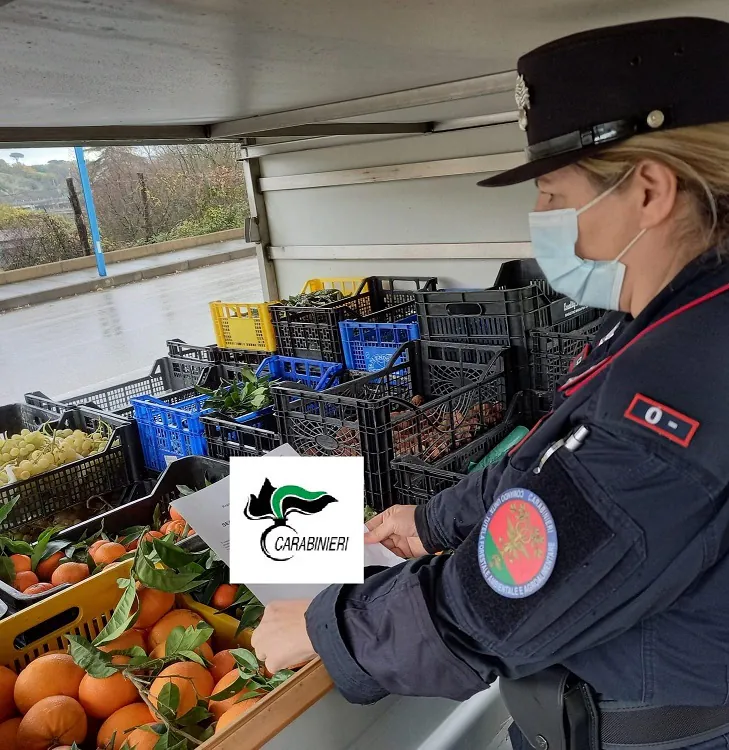 Carabinieri nei negozi, sequestrati 600 chili di cibo: ecco cosa stava finendo sulle nostre tavole
