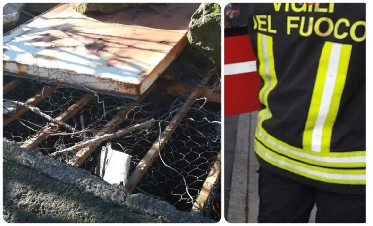 Cane intrappolato in un pozzo: salvataggio eroico nella Valle