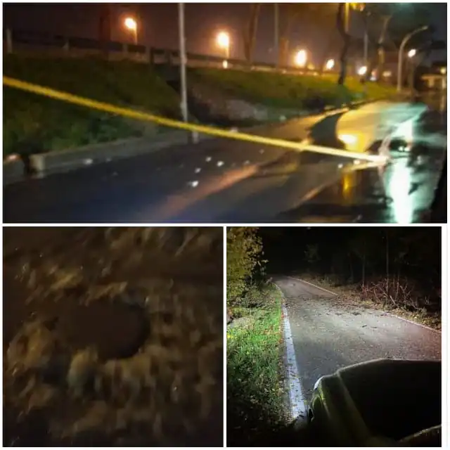 Casertano devastato dal maltempo: pali e alberi caduti e auto sommerse. IL VIDEO