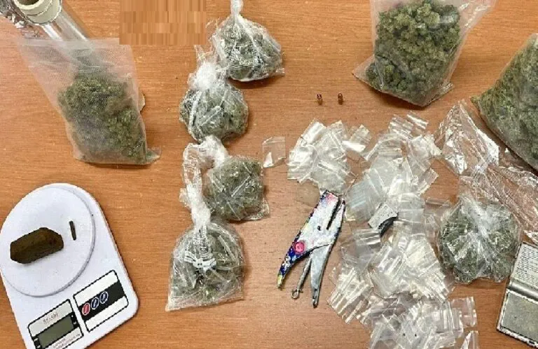 Carabinieri intervengono per lite tra giovani e scoprono piante di marijuana in casa