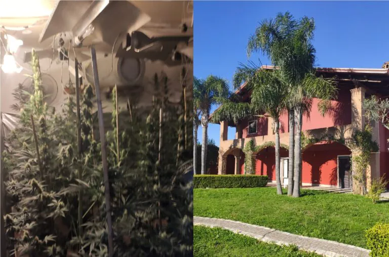 Polizia scopre piantagione di marijuana e lo arresta nel sonno. LE FOTO
