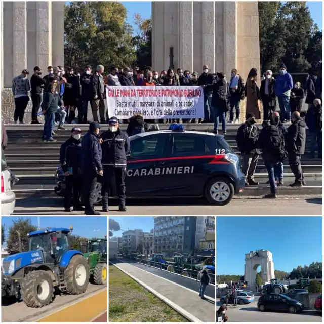 Da Casale a Caserta: protesta allevatori al Monumento, malore dopo sciopero della fame