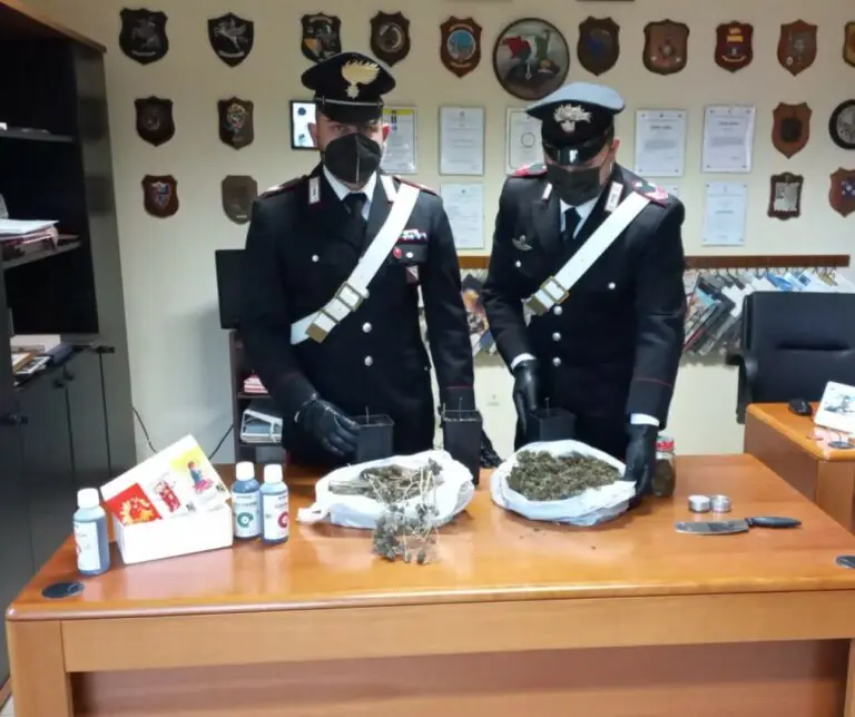 Via-vai di giovani dall’abitazione, carabinieri entrano e trovano marijuana ovunque