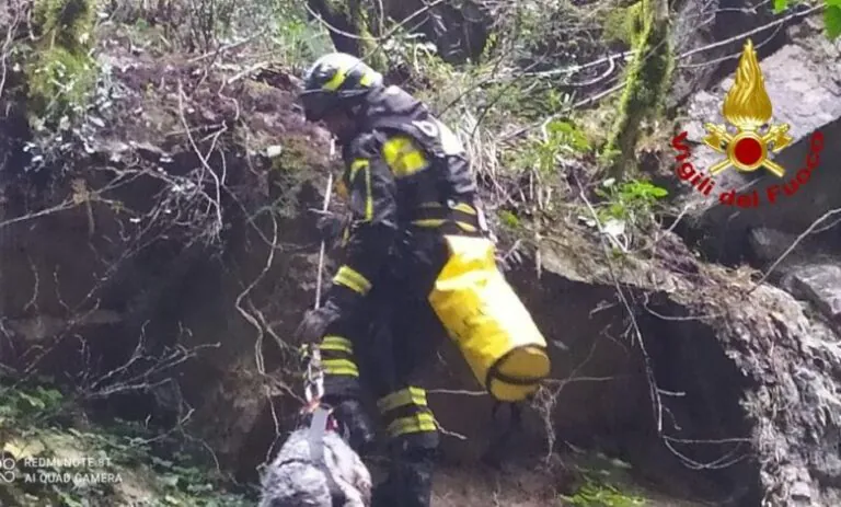 Tragedia durante battuta di caccia, muore compagno del vicesindaco. Lutto nel Casertano