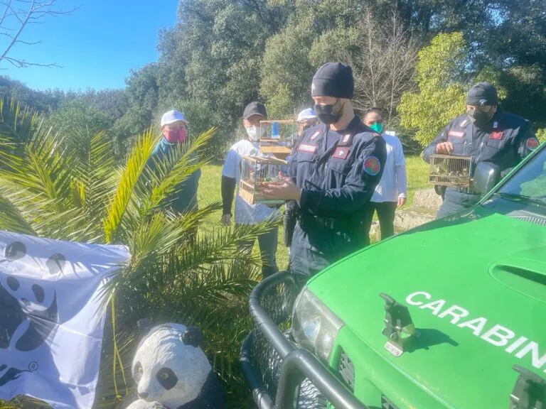 Con la rete a catturare cardellini: beccato dai ‘forestali’