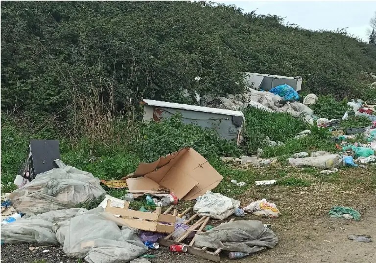 Amianto nelle campagne, blitz dei volontari