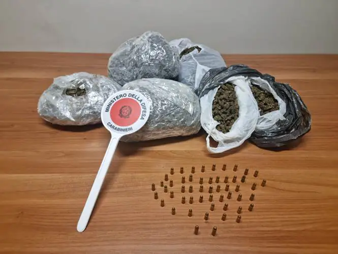 Fermata gang della droga: 5 chili di erba e 56 munizioni, 4 in prigione. FOTO