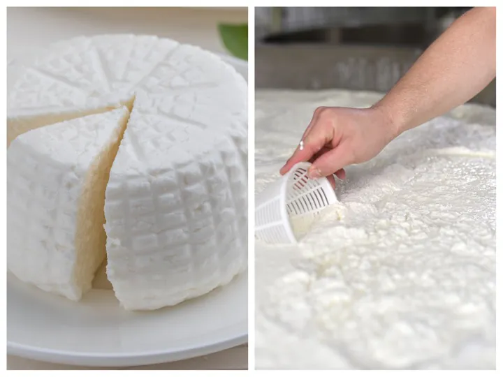 Ricotta di bufala Dop, nuovo disciplinare per venire incontro ai consumatori
