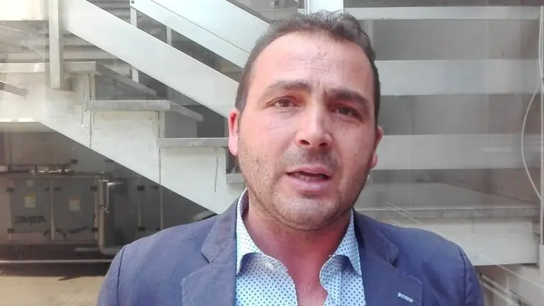 Nuovi alberi sui marciapiedi, approvato progetto da 50mila euro