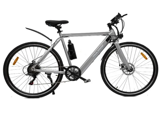 Bicicletta elettrica made in Italy: qualità e risparmio su Amazon
