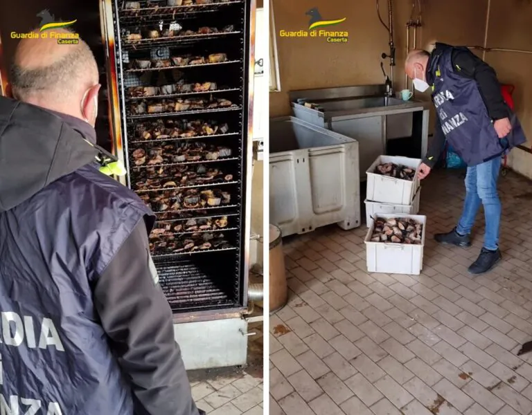Cibo horror, Finanza trova tonnellate di alimenti scaduti tra insetti ed escrementi. FOTO