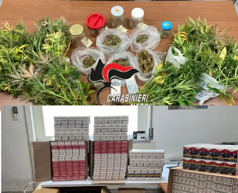 Lo seguono per contrabbando, scoprono in casa coltivazione droga: presi 2 conviventi. NOMI E FOTO