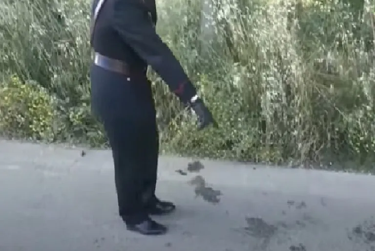 Prende la moglie a martellate, poi si lancia giù e muore