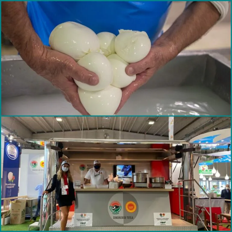 Cibus presenta il nuovo studio di mercato sulla Mozzarella di Bufala Campana Dop