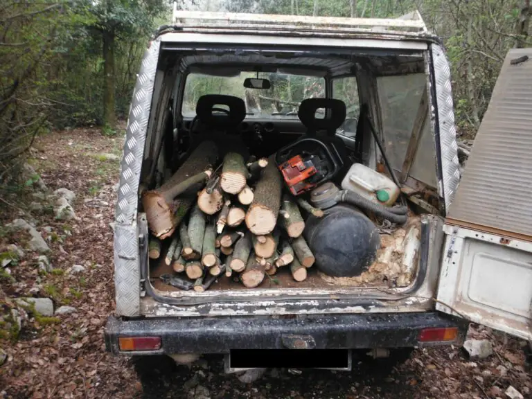 Distrugge mezzo bosco e poi carica un quintale di legna sul Suv, beccato dai militari