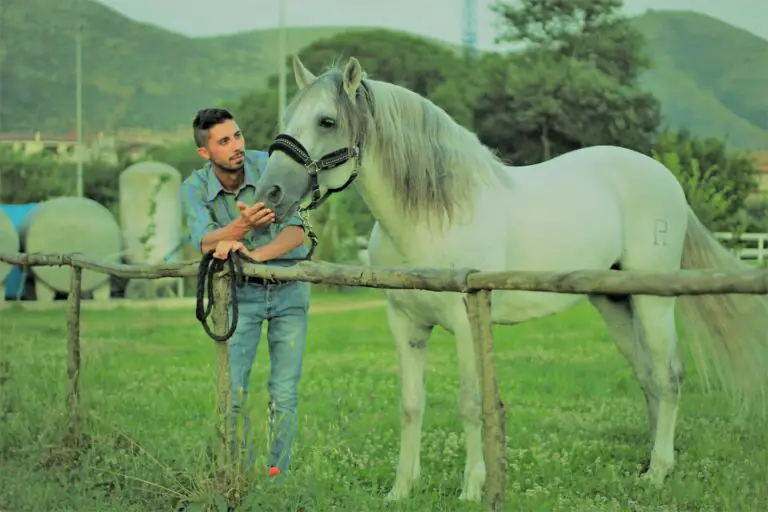 Sport Equestri Integrati: a Caserta i cavalli per la rinascita