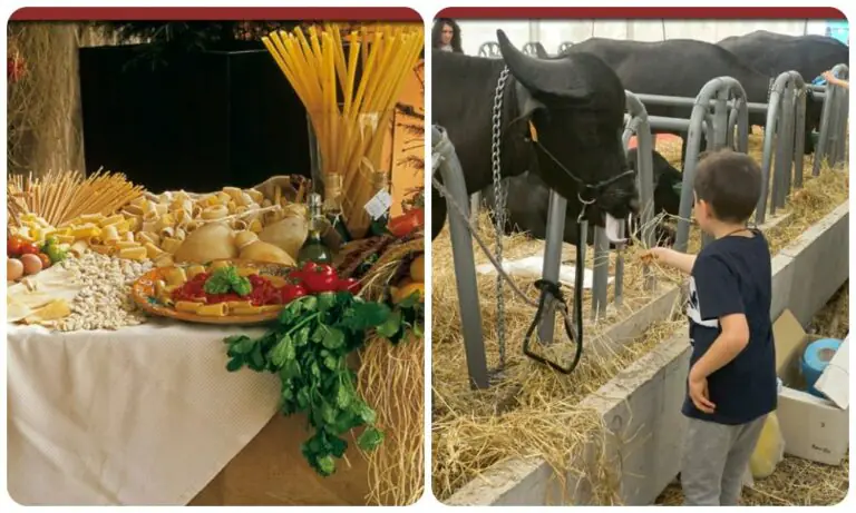 Al Polo Fieristico A1Expò torna la Fiera Agricola