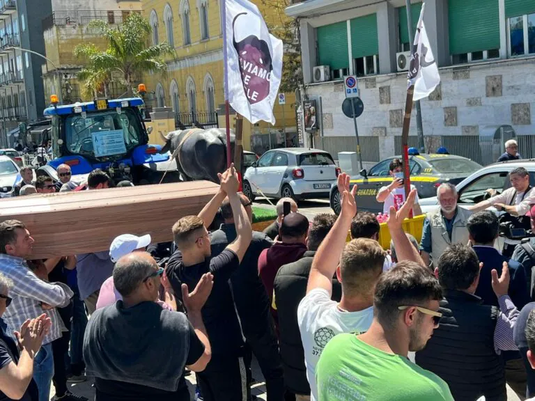 Città paralizzata da trattori e bara all’Asl, ecco il funerale del settore bufalino