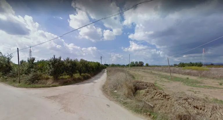 Maxi raid nel campo agricolo, trafugati 2 quintali di olive