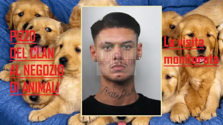 Irruzione del baby ras al negozio di animali: “I Piccolo ti vogliono salutare”