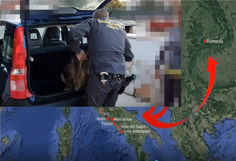 Teste di legno e case del sesso, scattano arresti: 29 ordinanze e 100 milioni sequestrati. VIDEO