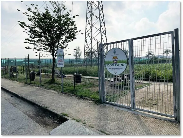 Porfidia: ‘Realizzeremo un altro dog park nella zona sud della città’