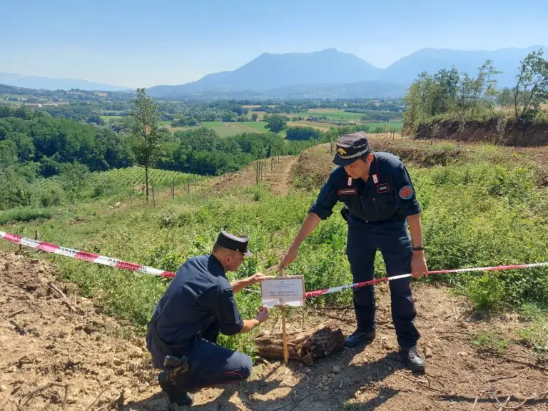 Bosco distrutto per opere senza licenza, blitz e sequestro dei militari
