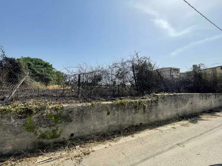 Incendio alle spalle della torre: arrivano i vigili del fuoco