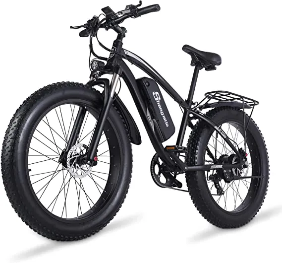 Bici Elettrica a 7 velocità: potente per tutte le stagioni