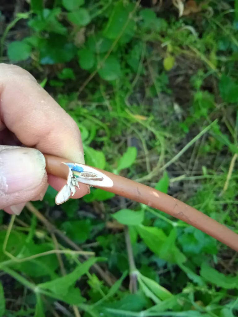 Sabotato l’impianto elettrico dell’acquedotto comunale