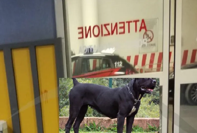 Muore sbranato dai suoi cani