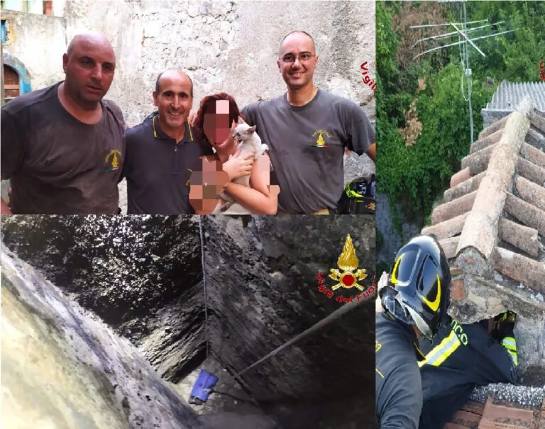 Gattino precipita nella canna fumaria: ripescato a 8 metri di profondità. FOTO