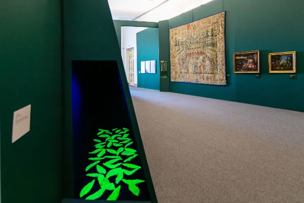 Reggia di Caserta, due nuove playlist Spotify e 100 milioni di visualizzazioni su Giphy